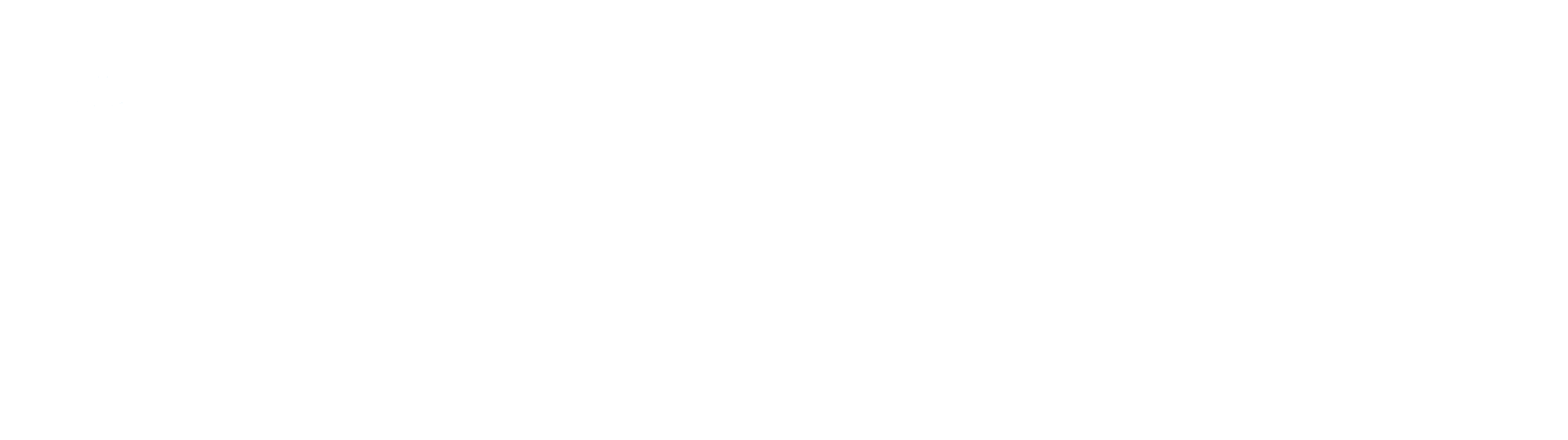 BilSE-Institut